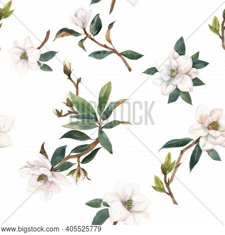 Beautiful Vector Seamless Pattern With Hand Drawn Watercolor White Magnolia Flowers. Stock Illustrat