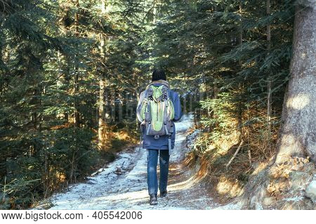 Lonely Man Goes Away On Road Among Trees. Senior Man Trail Hiking In The Forest At Sunset. Sun Going