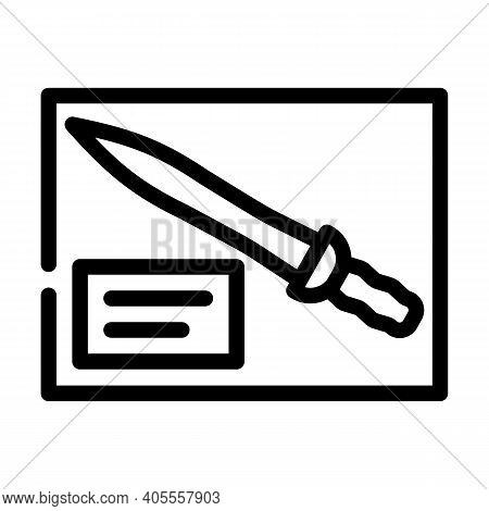 Gladius Museum Exhibit Line Icon Vector Illustration