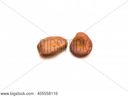 Two Fava Beans Or Broad Beans Planting Seeds Isolated On White Background