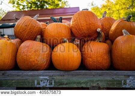 Pile Of Orange Pumpins Sitting On Trailer In Outdoor Market