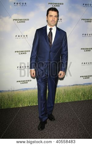 LOS ANGELES - joulu 6: Ron Livingston saapuu luvattuun maahan ensi-ilta on johtajien A-kilta