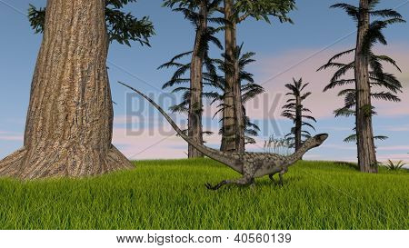 Coelophysis im Dschungel