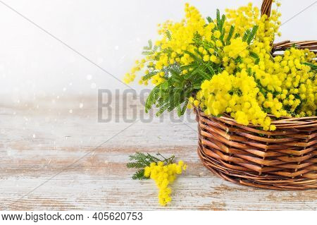Basket Ful Of Golden Fresh Yellow Mimosa On The Wooden Natural Background. Vintage, Beautiful Bokeh.