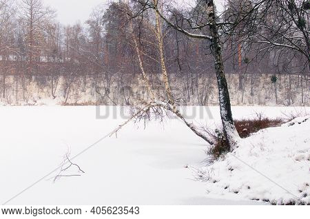 Scenic Winter Season In The Pushcha-vodytsia. Picturesque Landscape Of Frozen Lake And Shore With Un