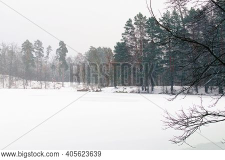 Snowfall In The Forest. Scenic Winter Landscape Of Frozen Pond In The Forest. Evergreen Wood And Sho