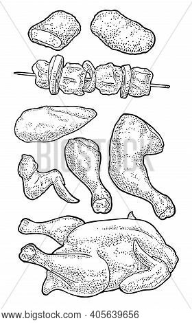 Part Cutting Of Roasted Chicken - Whole, Leg, Wing And Breast Halves. Vintage Color Engraving