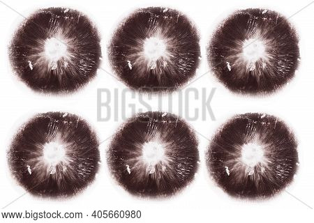 Prints Of Psilocybin Mushrooms Isolated On White Background.