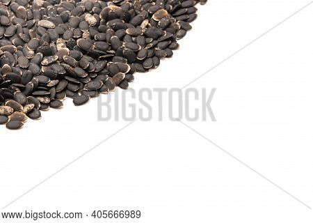 Spreading Of Luffa Or Loofah, Luffa Aegyptiaca Seeds With Copy Space Isolated On White Background