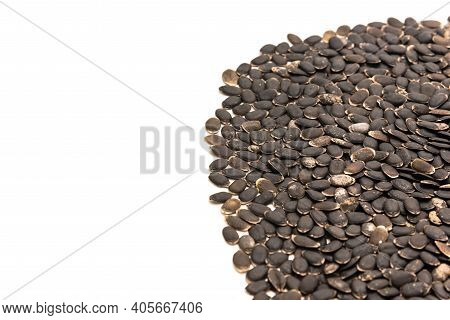Spreading Of Luffa Or Loofah, Luffa Aegyptiaca Seeds With Copy Space Isolated On White Background