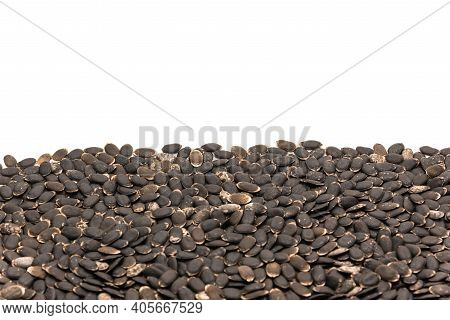 Spreading Of Luffa Or Loofah, Luffa Aegyptiaca Seeds With Copy Space Isolated On White Background