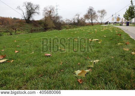 Embankment In Irpin In The Fall. Autumn Leaves On Green Grass.