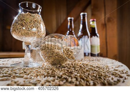 Glasses Filled With Different Malts And Hops. Brewing Concept. Make A Lager Beer With Natural Ingred