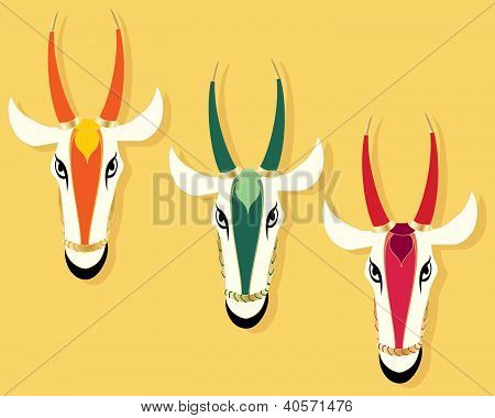 Teste di mucca jain