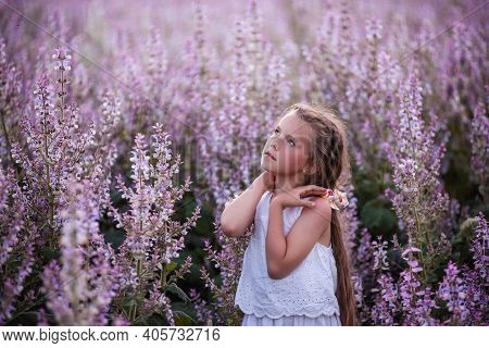 Close-up Portraits Of A Little Girl With Long Flowing Hair In Blooming Pink Sage Field. Dreamer Blon