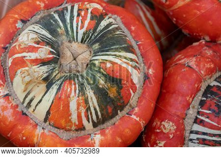 Colorful Ornamental Pumpkins On A Market In Meiningen, Thuringia