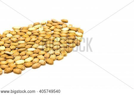 Mound Of Handful Bitter Melon Momordica Charantia Seeds Isolated On White With Cutout Space