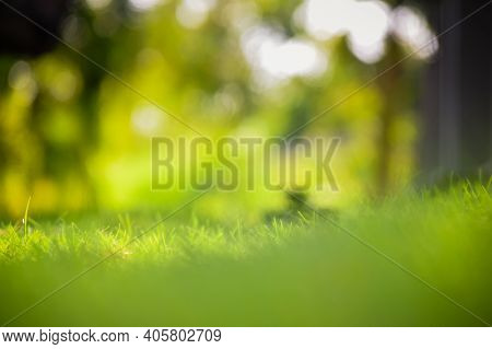 Beautiful Green Colored Blurry Natural Bokeh Background In The Garden Lawn During Day Light.