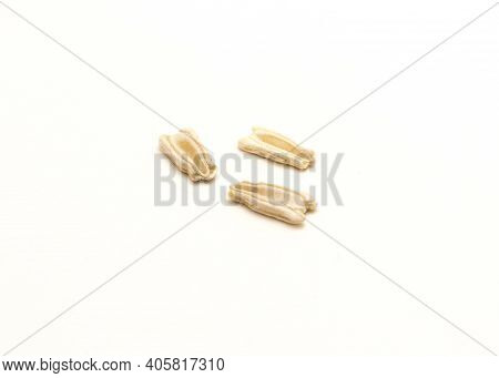 Studio Shot Three Opo Gourd Or Calabash Squash Seeds Isolated On White Background