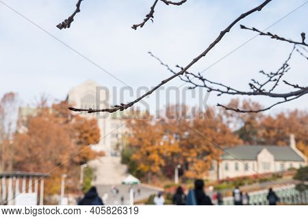 Seoul, South Korea - 27 November 2019: Ewha Womans University In Autumn. It Is A Private Women's Uni