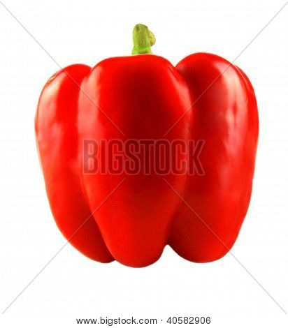 Paprika