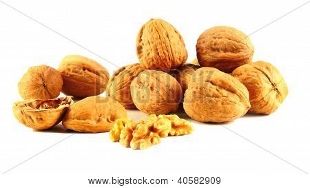 Noci