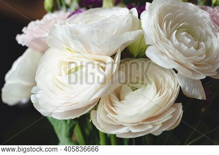 Beautiful White Ranunculus Bouquet Over Dark Background, Closeup View. Wedding Flowers Or Valentines