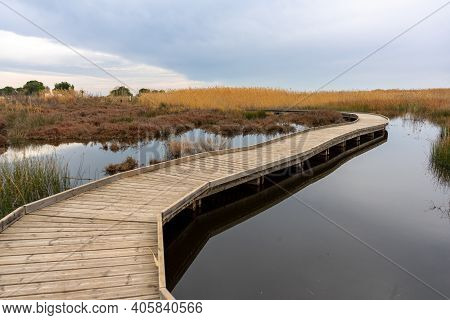 View Of A Wooden Walkway In The Natural Reserve Of Plants And Birds La Marjal Els Moros In The Town 