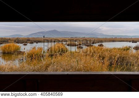 View Of The Observatory Of The Natural Reserve Of Plants And Birds La Marjal Els Moros In The Town O