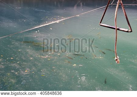 Trout At A Beautiful And Romantic Little Spa In The Area Of Jardim And Bonito Along The River Prata,