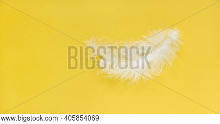 One White Feather On A Color Background. Yellow Background