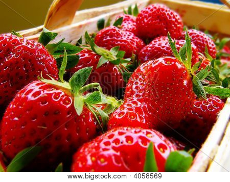 Verse aardbeien