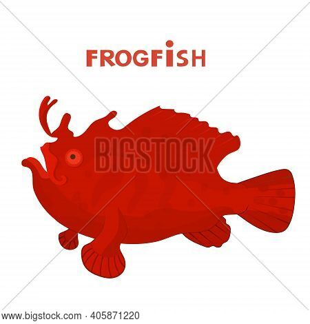 Sea Fish Frogfish. Vector Cartoon Color Red Image.