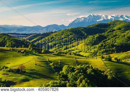 Stunning Spring Countryside Landscape With Green Fields On The Hills And High Snowy Mountains In Bac