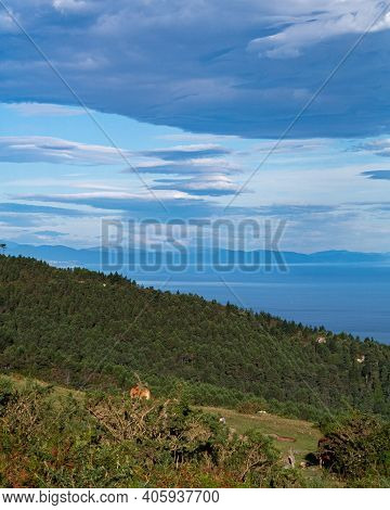 Beautiful Vertical View Of Blue Sky With Clouds, Sea And Green Trees At The Coastline. Irun, Basque 