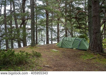 Rothiemurchus Forest Is In The Cairngorms National Park Which Is Popular For Recreation And Wildlife