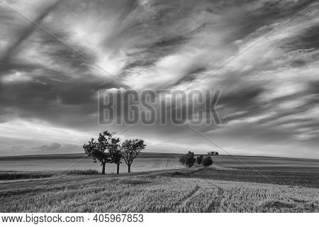 On The Dirt Road Between Empty Field After Harvesting In Summer Evening. Czech Republic. Amazing Sun