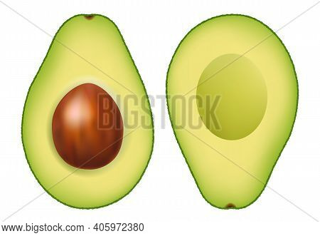 Fresh Avocado With White Background With Gradient Mesh, Vector Illustration