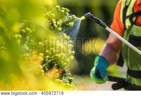 Gardener With Professional Insecticide Fertilizer Equipment. Worker Spraying Trees Close Up Photo.
