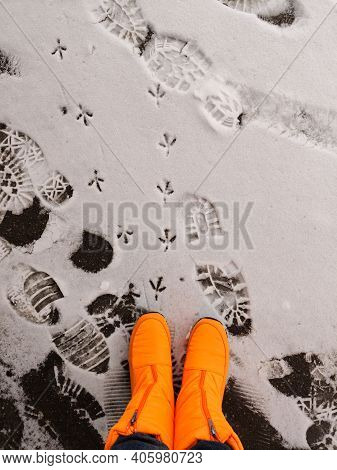 Blurred. The Footprint Of A Sole And A Birds Feet In The Snow.