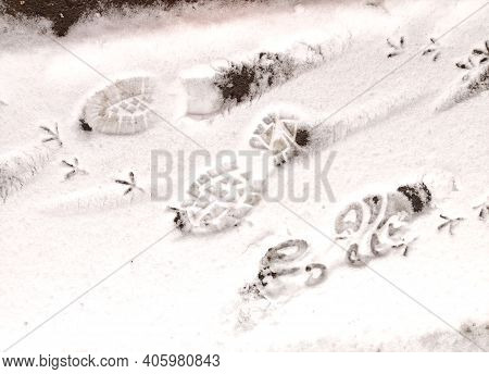 Blurred. The Footprint Of A Sole And A Birds Feet In The Snow.