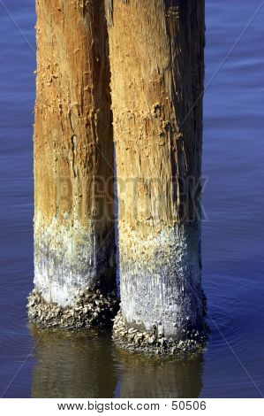 Postes de madera en el agua