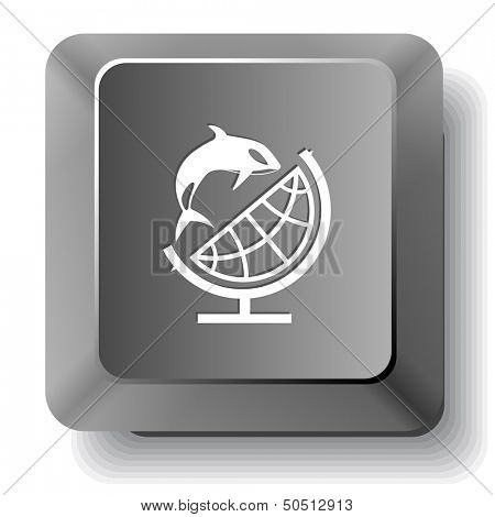 Globe and shamoo. Vector computer key.