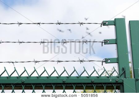 Libertà