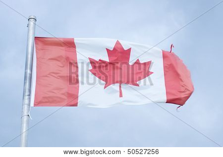 Canadian Flag