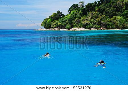 People Swimming And Snorkeling At Tachai Island In Thailand