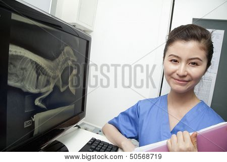 Veterinarian next to animal's x-ray, portrait