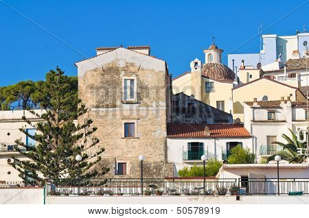 Panoramic view of Rodi Garganico. Puglia. Italy.