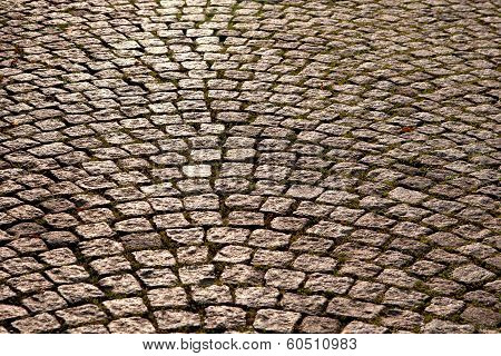 The Pavement In Sunlight
