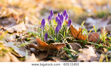 Spring is here